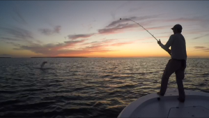 49949250_2160052810684748_5587716597709012992_o